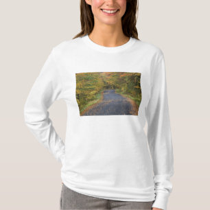 Straßenrand Herbstlaub, Süd-Vermont, USA T-Shirt