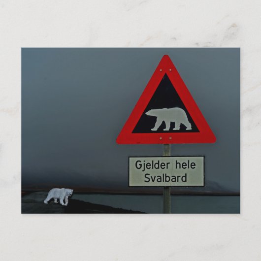 Straßenschild des Eisbären und Eisbär. Postkarte (Vorderseite)