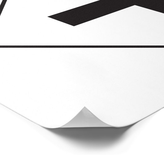 Straßenschildkröte Poster (Ecke)