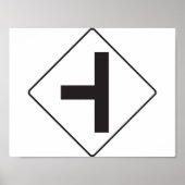 Straßenschildkröte Poster (Vorne)