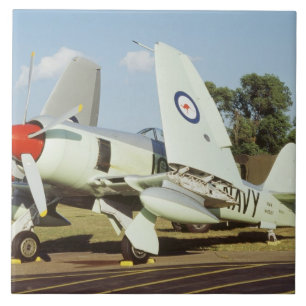 Straßenverkäufer-Seewut bei CAF, Minnesota-Flüg Fliese