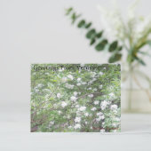 Straßenwunder Postkarte (Stehend Vorderseite)