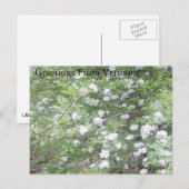 Straßenwunder Postkarte (Vorne/Hinten)