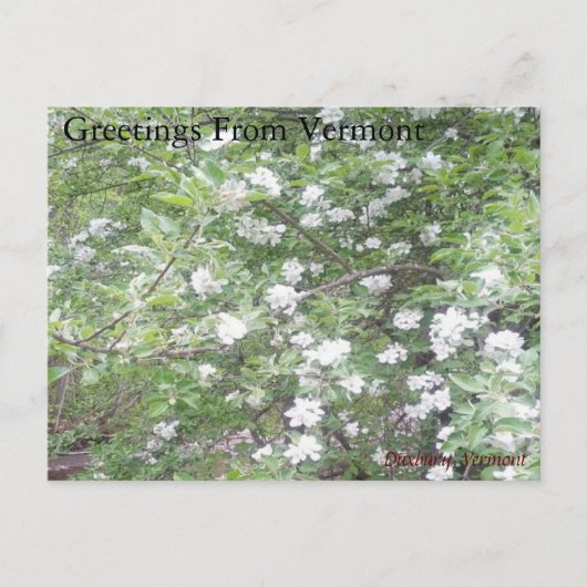 Straßenwunder Postkarte (Vorderseite)