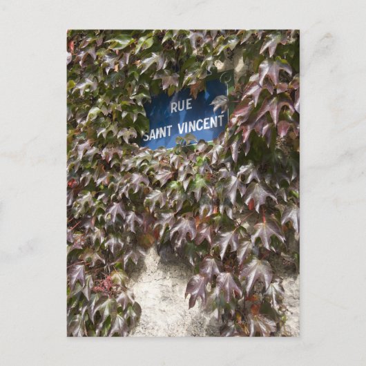 Straßenzeichen in Paris 2 Postkarte (Vorderseite)
