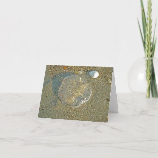 Strated Jellyfish Note Card Karte (Vorderseite)