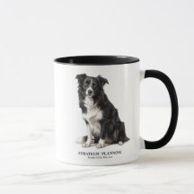 Strategische Planung Border Collie