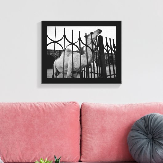 Strategisches Kamel Leinwanddruck (Insitu (Wohnzimmer))