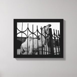 Strategisches Kamel Leinwanddruck