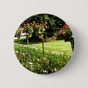 Stratford-nach-Avon Garten-Rose snap-29602 jGibney Button