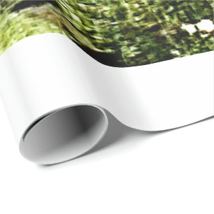 Stratford-nach-Avon Garten-Rose snap-29602 jGibney Geschenkpapier