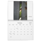 Stratford Schwan-Kalender Kalender (Feb 2027)