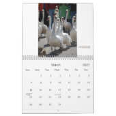 Stratford Schwan-Kalender Kalender (Mär 2027)
