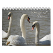 Stratford Schwan-Kalender Kalender (Titelbild)