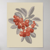 Strauchbeeren Poster (Vorne)