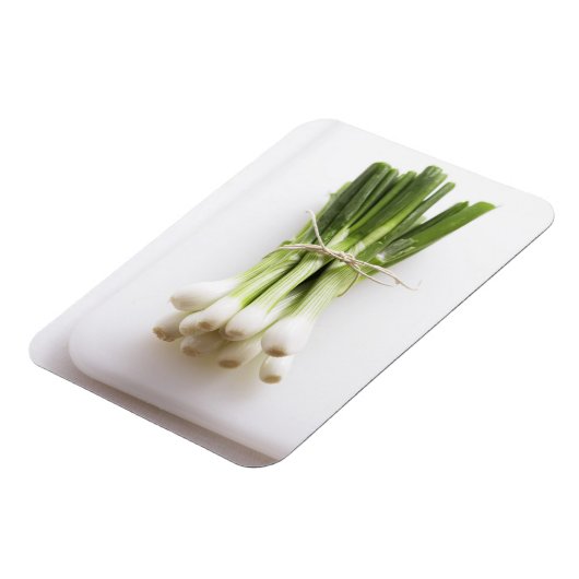 Strauchzwiebeln auf weißem Pappbrett Magnet (Linke Seite)