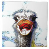 Strauß20150701 Fliese (Vorderseite)