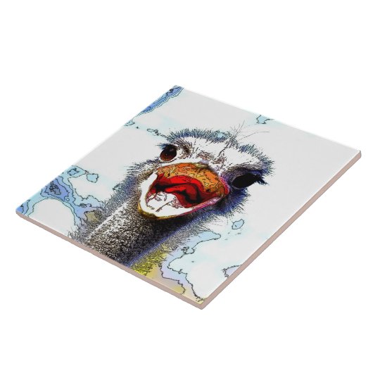 Strauß20150701 Fliese (Seite)