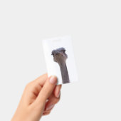 Strauß Ausweis (Handheld)