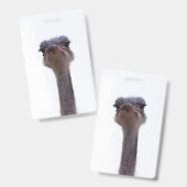 Strauß Ausweis (Front & Back)