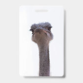 Strauß Ausweis (Back)