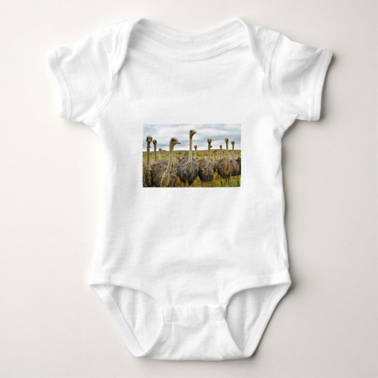 Strauß Baby Strampler (Vorderseite)