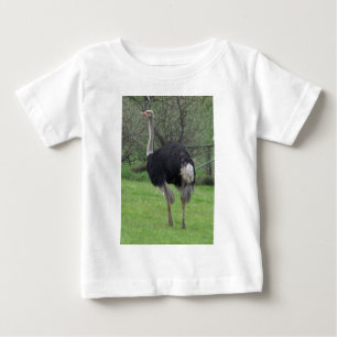 Strauß Baby T-shirt