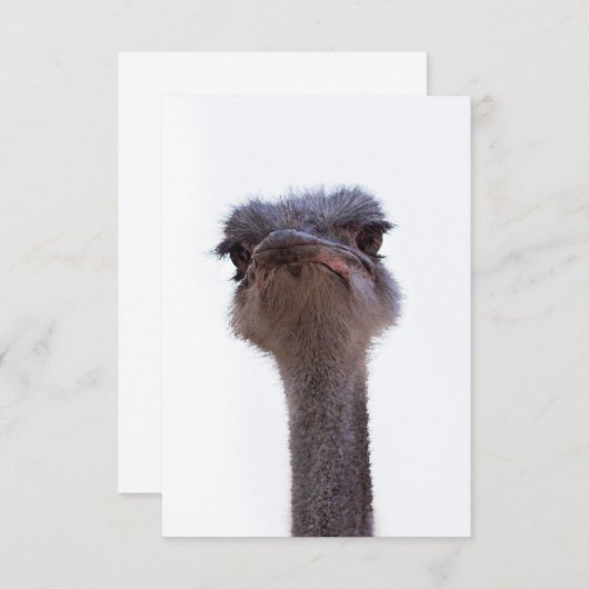 Strauß Begleitkarte (Vorne/Hinten)