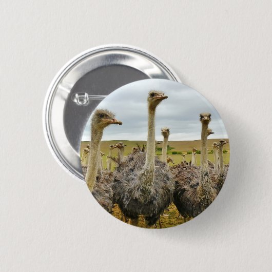 Strauß Button (Vorne & Hinten)