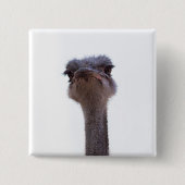 Strauß Button (Vorderseite)