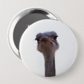 Strauß Button (Vorne & Hinten)