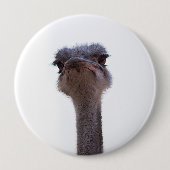 Strauß Button (Vorderseite)
