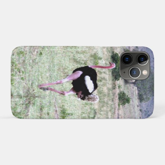 Strauß Case-Mate iPhone Hülle (Rückseite (Horizontal))