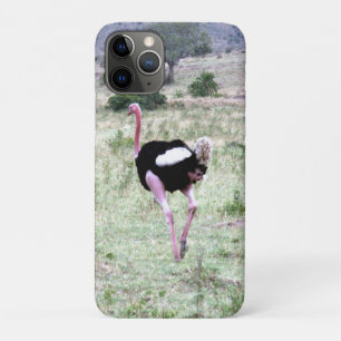 Strauß iPhone 11 Pro Hülle