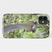 Strauß Case-Mate iPhone Hülle (Rückseite (Horizontal))