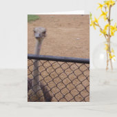 "Strauß" Danke Karte (Gelbe Blume)