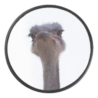 Strauß Eishockey Puck