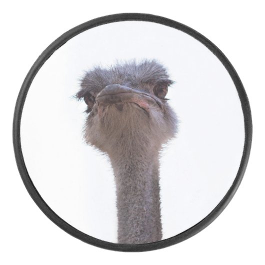 Strauß Eishockey Puck (Vorderseite)