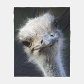 Strauß Fleecedecke (Vorderseite)