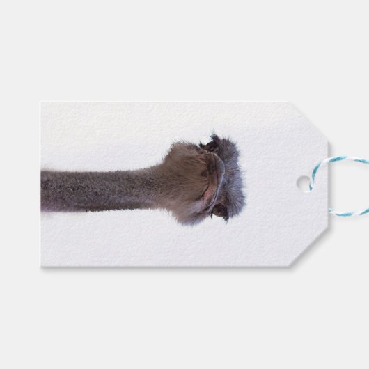 Strauß Geschenkanhänger (Vorderseite (Horizontal))