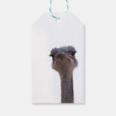 Strauß Geschenkanhänger (Rückseite)