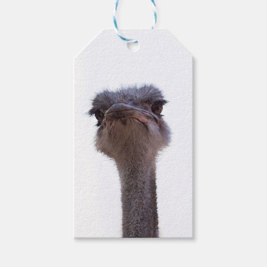Strauß Geschenkanhänger (Vorderseite)