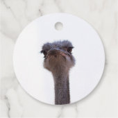 Strauß Geschenkanhänger (Rückseite)