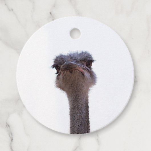 Strauß Geschenkanhänger (Vorderseite)