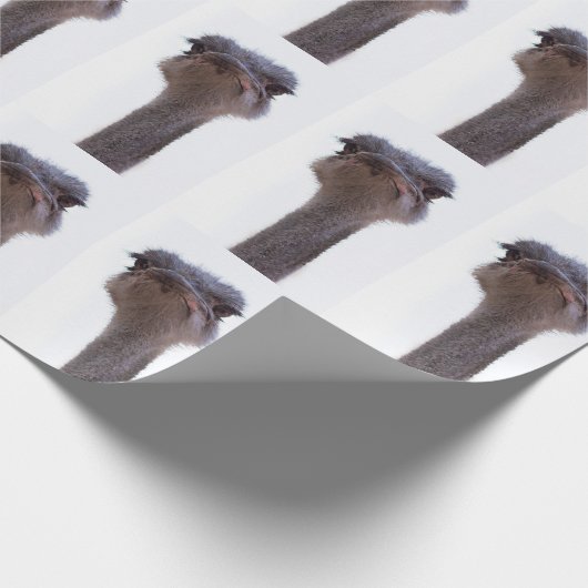 Strauß Geschenkpapier (Ecke)