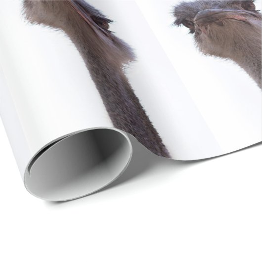 Strauß Geschenkpapier (Rolleneckpunkt)