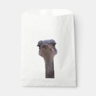 Strauß Geschenktütchen