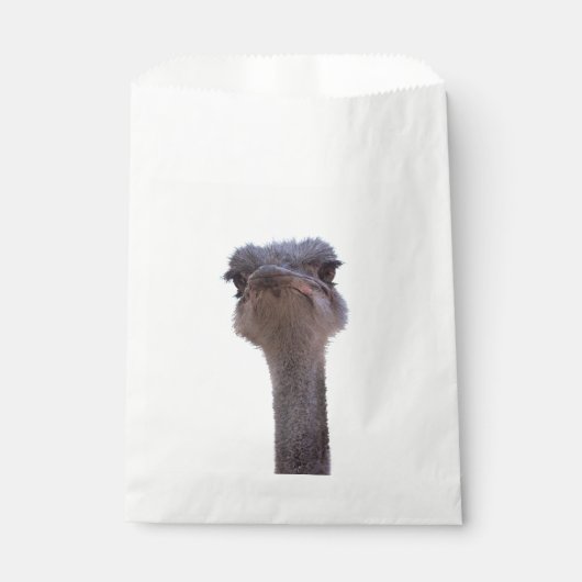 Strauß Geschenktütchen (Vorderseite)