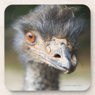 Strauß Getränkeuntersetzer