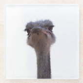 Strauß Glasuntersetzer (Vorderseite)